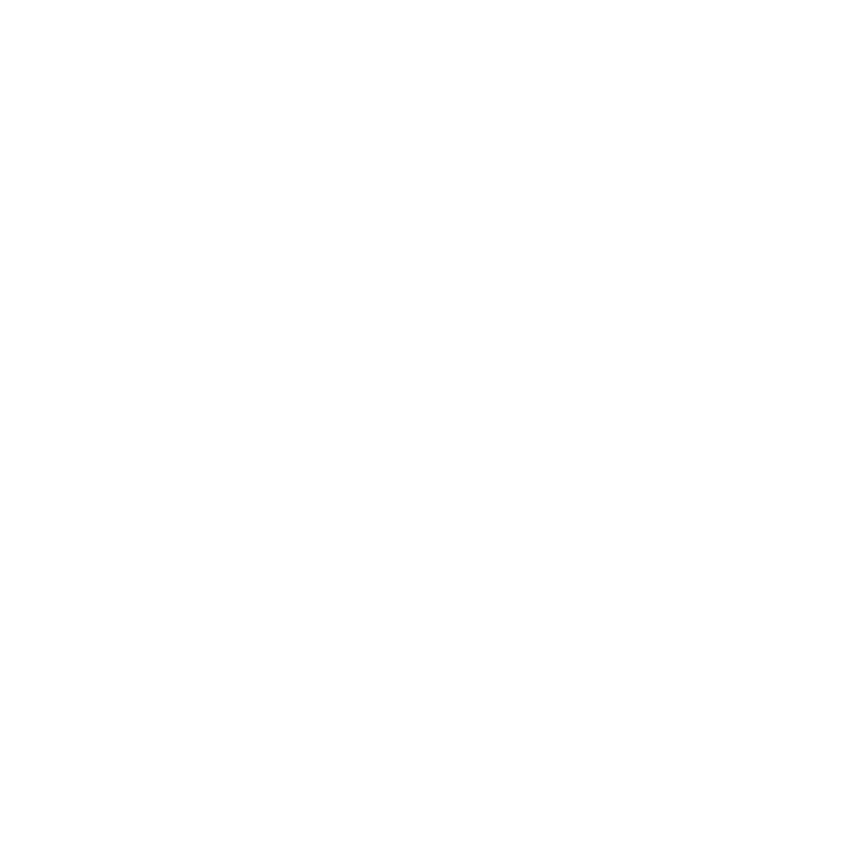 LOGO NM DEFINITIVO-12